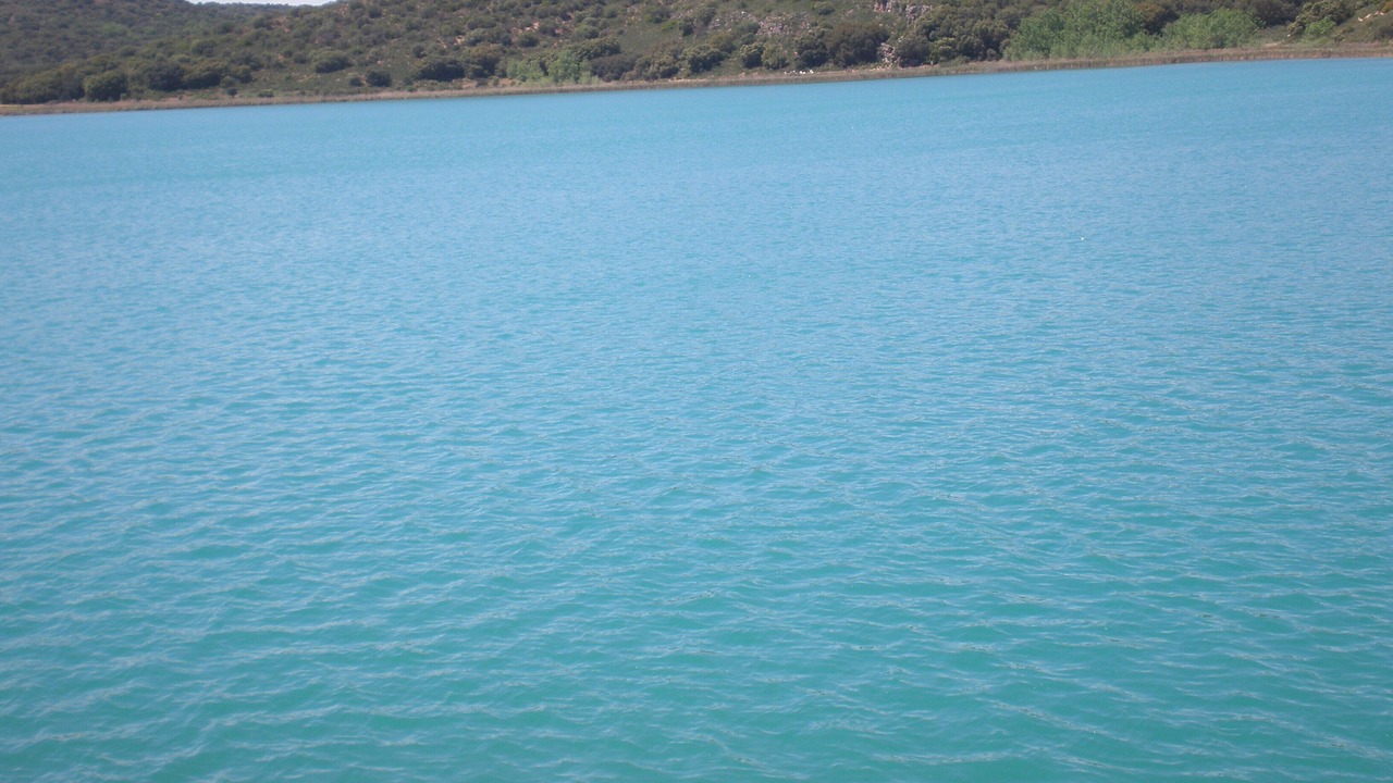Photo of Others in Membrilla