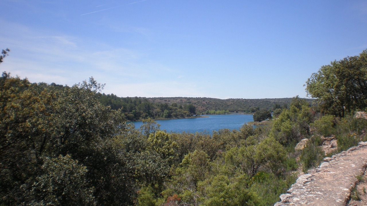 Photo of Others in Membrilla