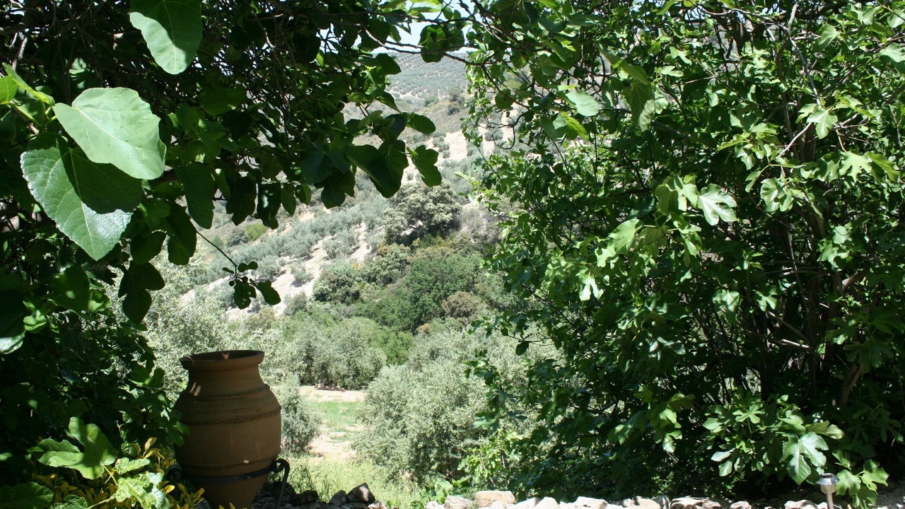 Photo of Others in Iznajar