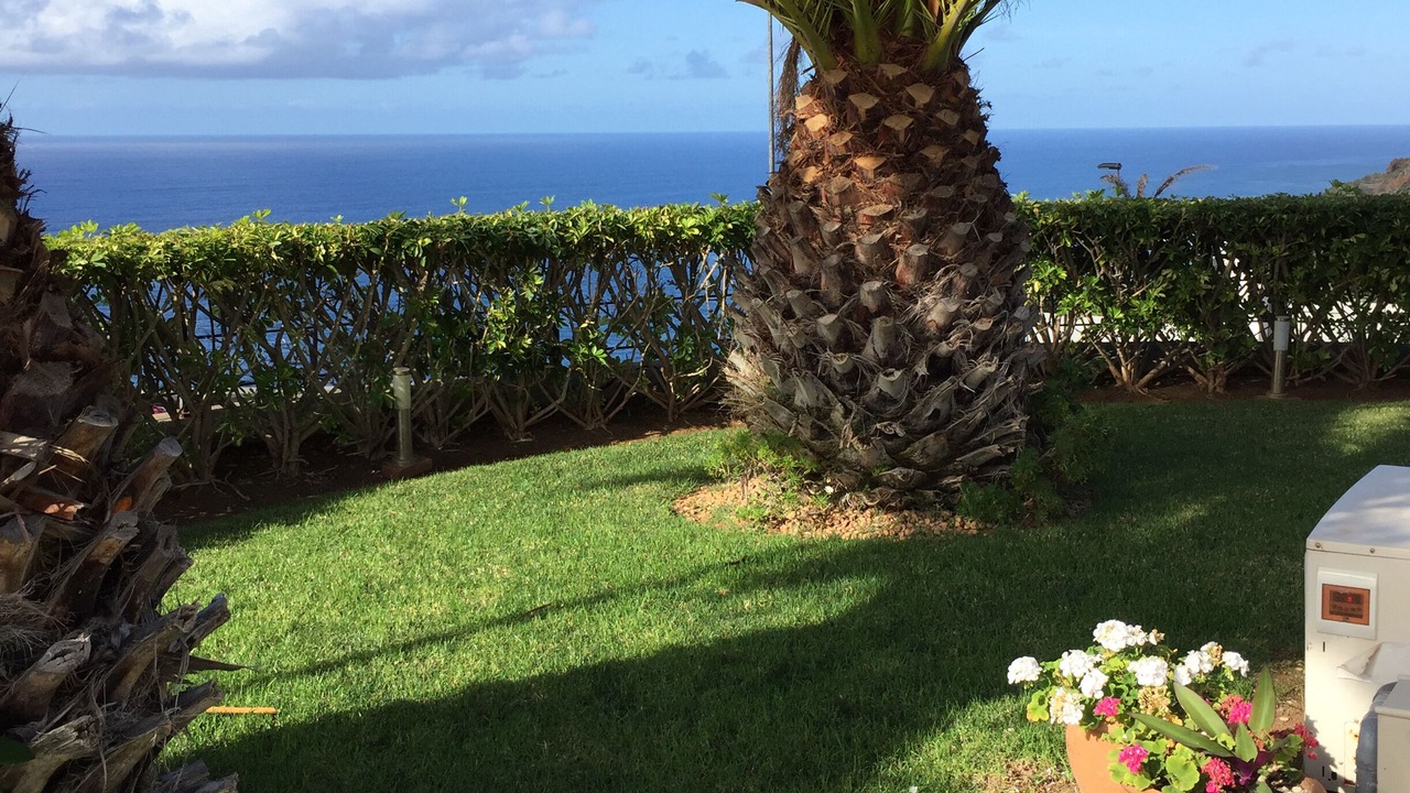 Photo of Outdoor in Juan Fernandez