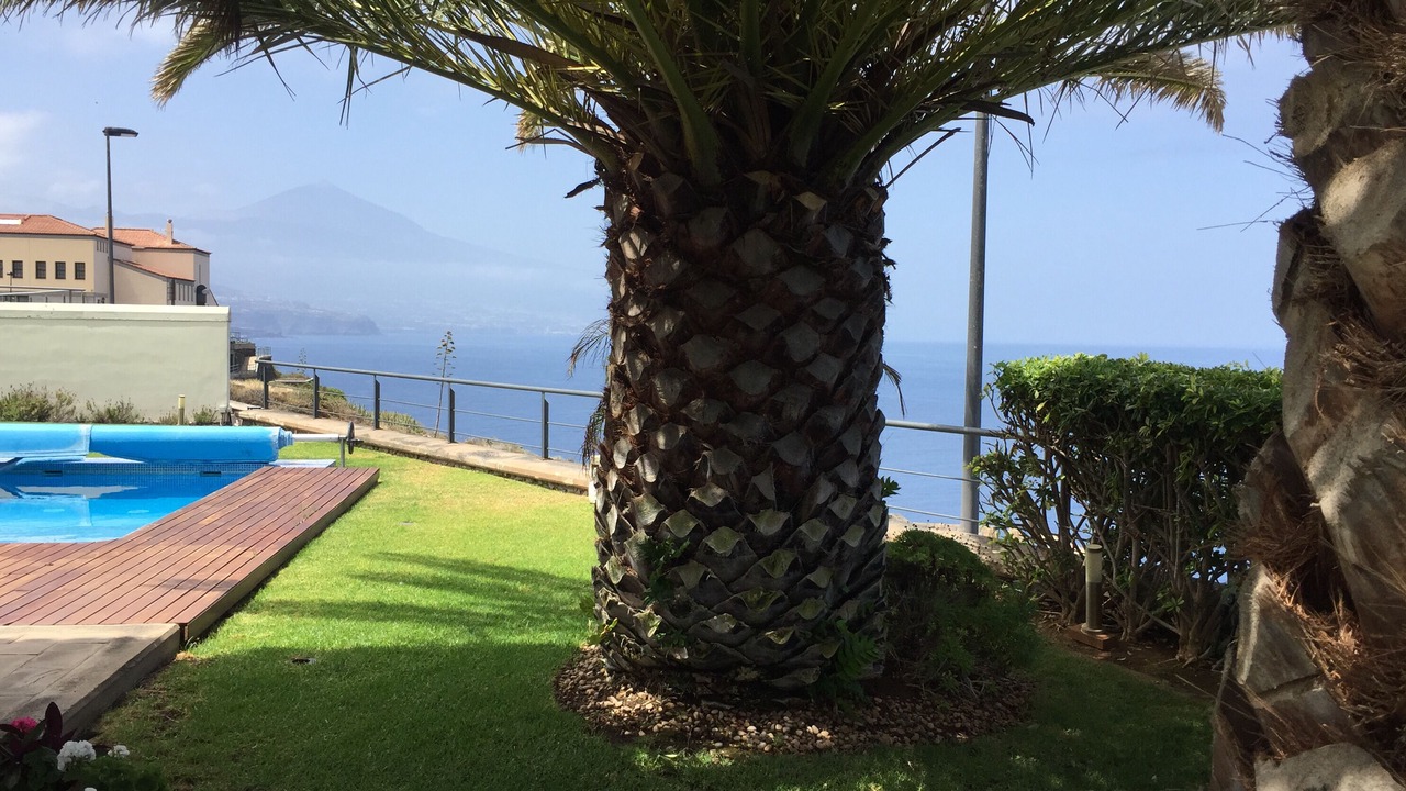 Photo of Outdoor in Juan Fernandez