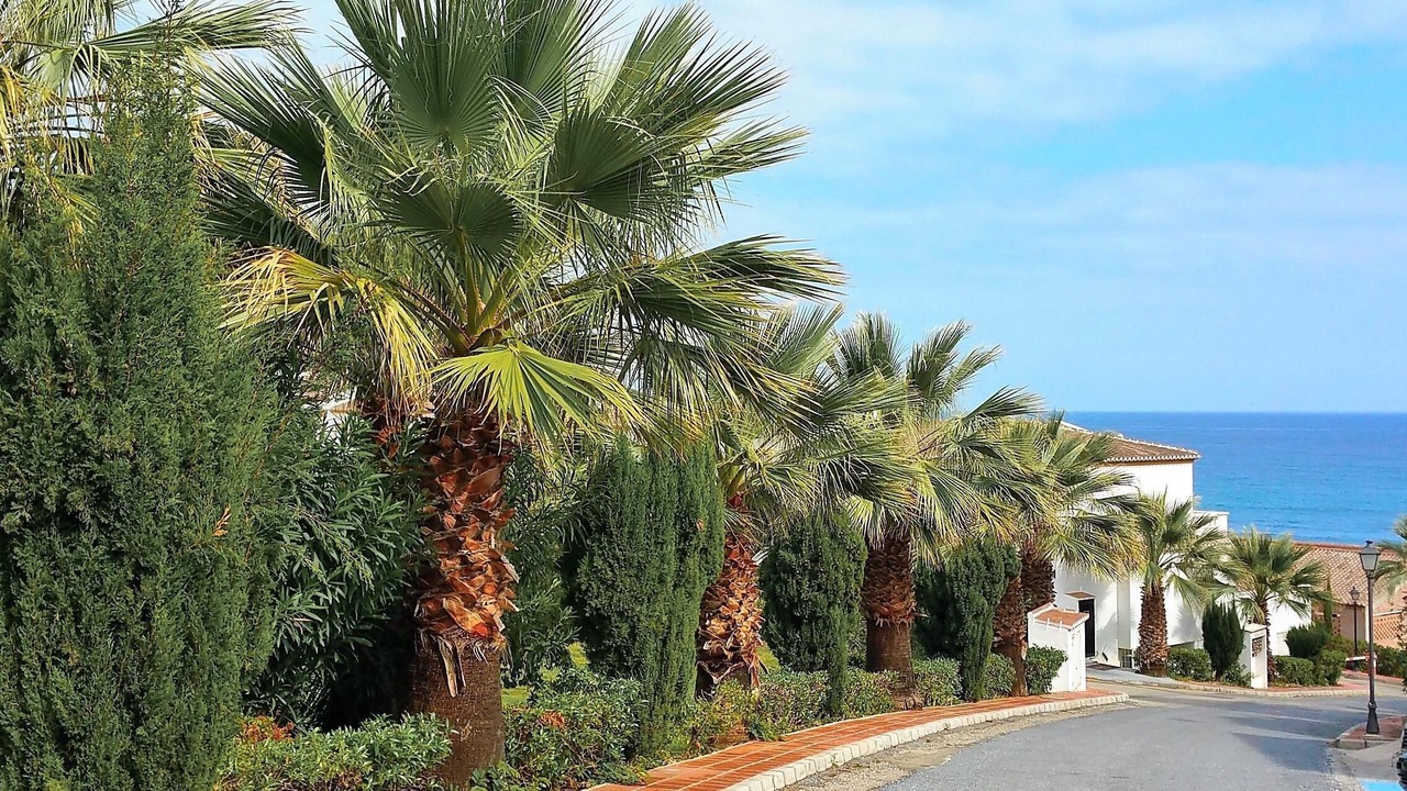 Photo of Outdoor in Torrox Costa