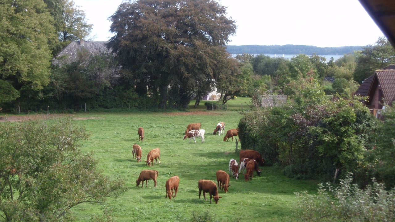 Photo of Outdoor in Ulsnis