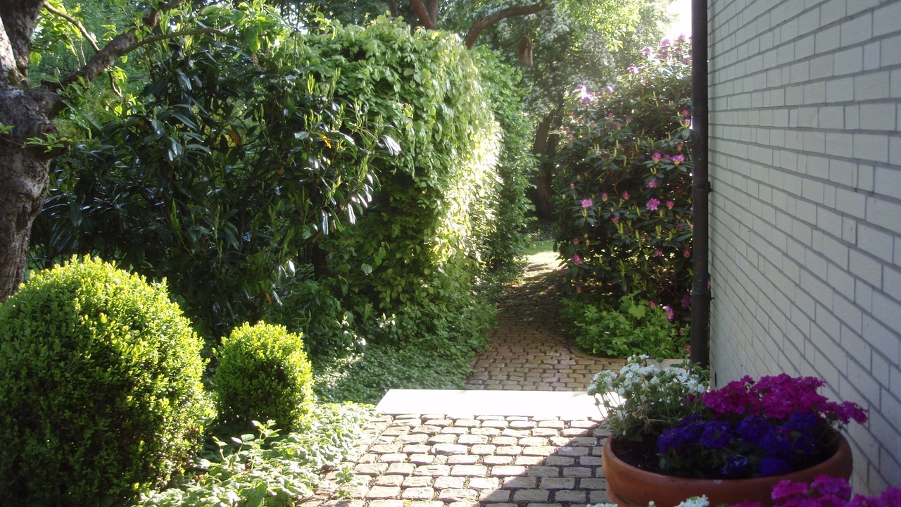 Photo of Outdoor in Ulsnis