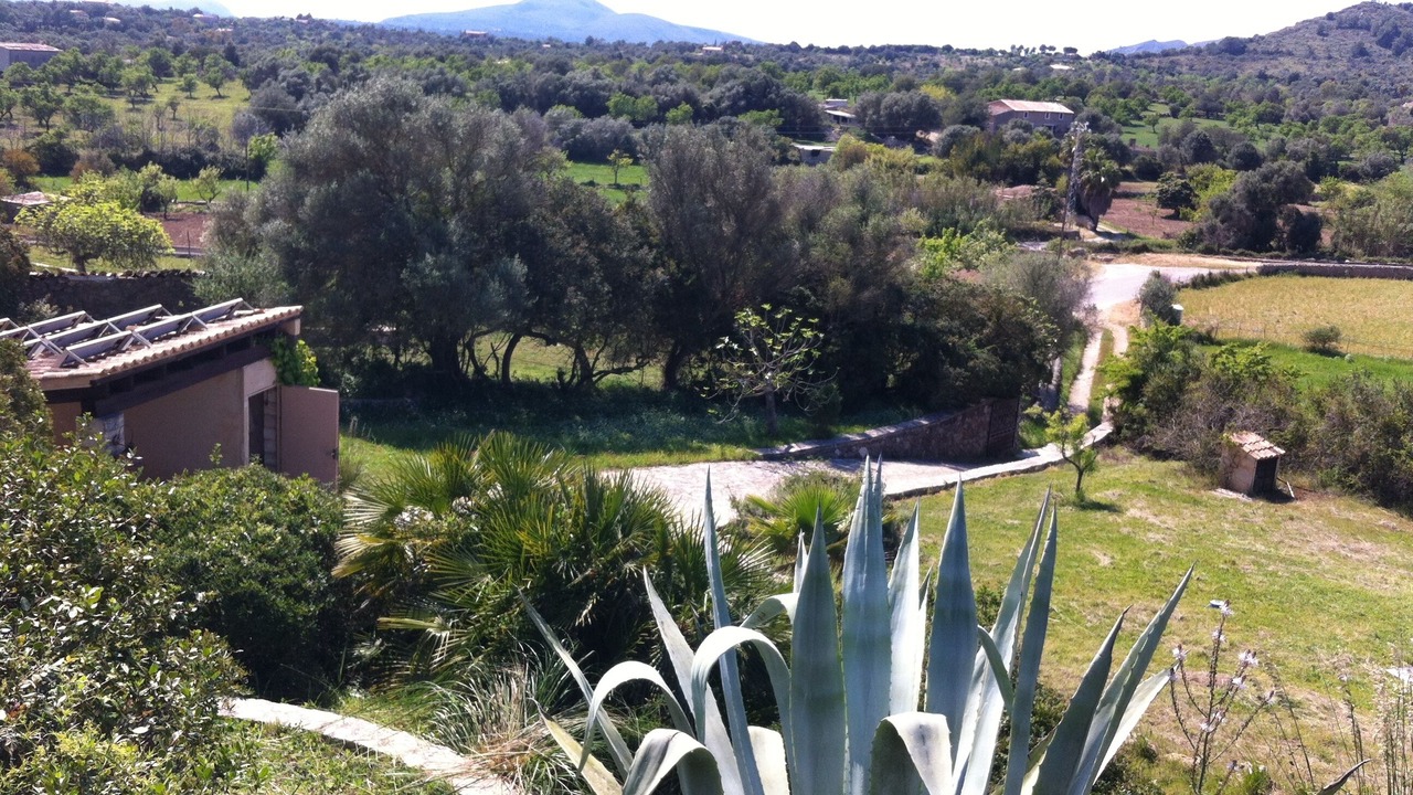 Photo of Outdoor in Arta