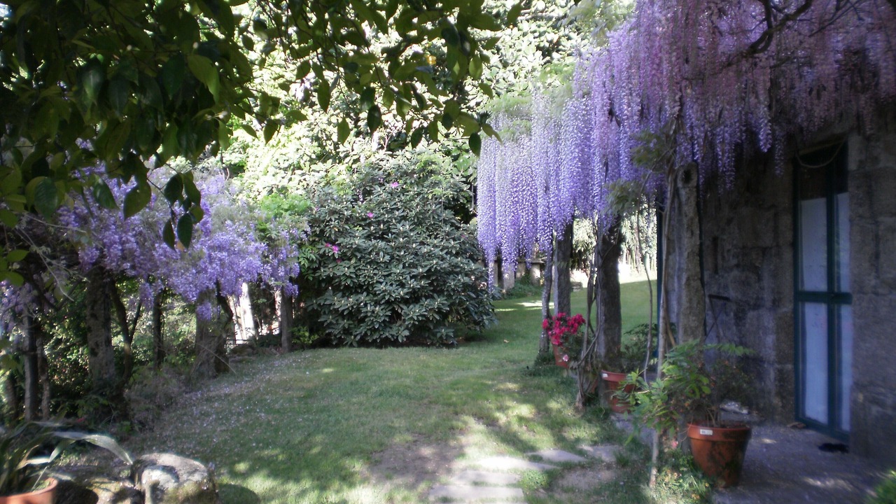 Photo of Outdoor in Ponteareas