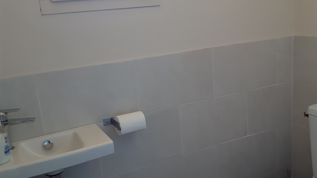 Photo of Bathroom in Villars
