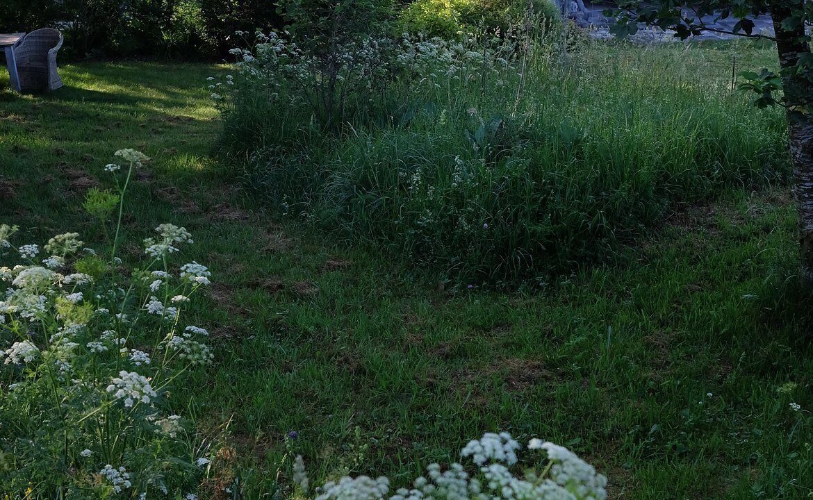 Photo of Outdoor in Saint-Pierre