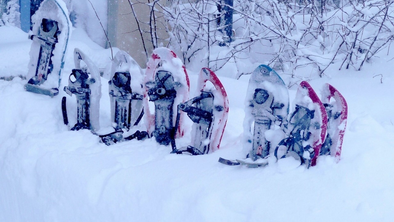 Photo of Others in Saint-Pierre