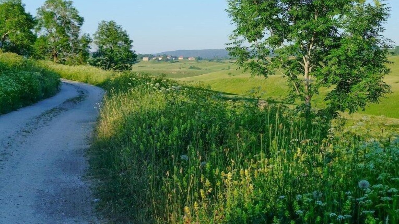 Photo of Outdoor in Saint-Pierre