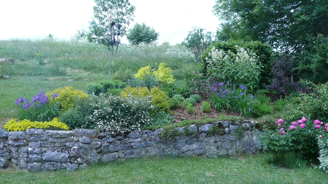 Photo of Outdoor in Saint-Pierre