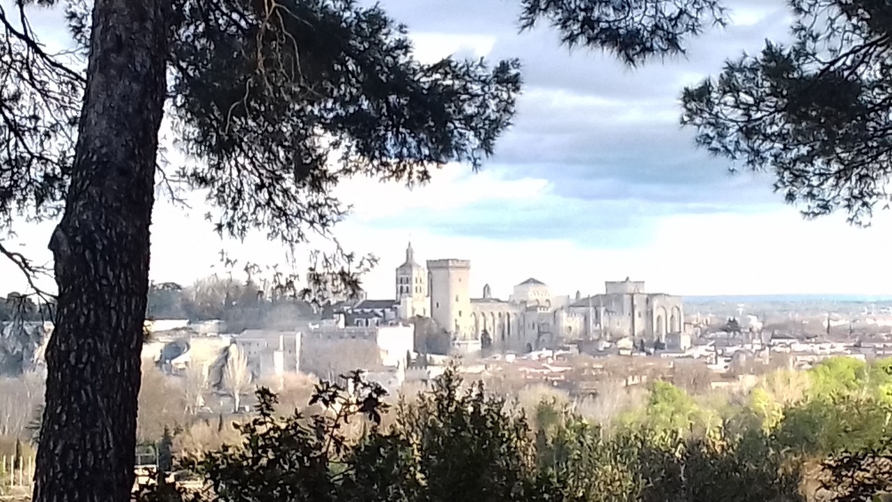 Photo of Others in Avignon