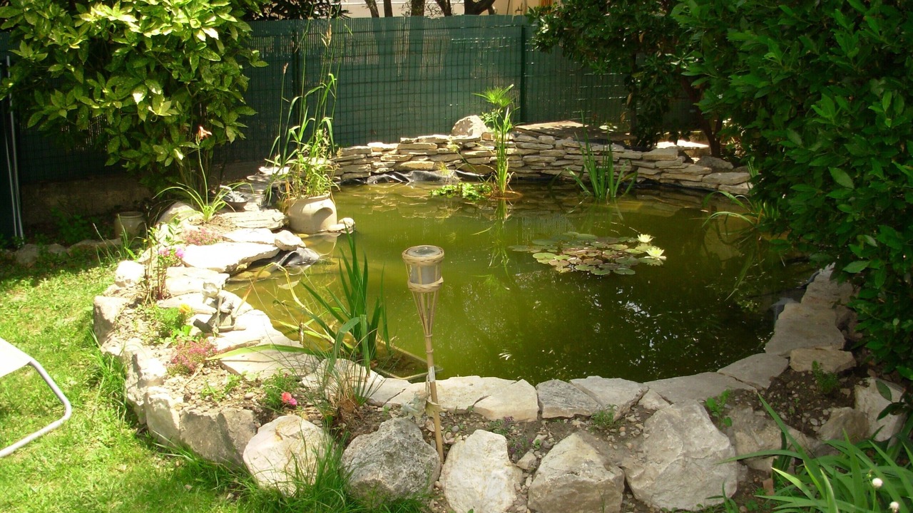 Photo of Outdoor in Avignon