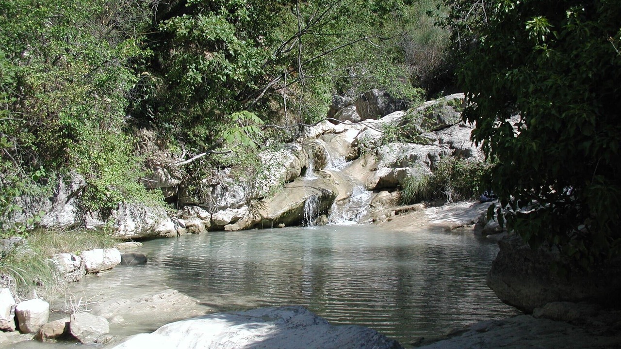 Photo of Others in Montaulieu