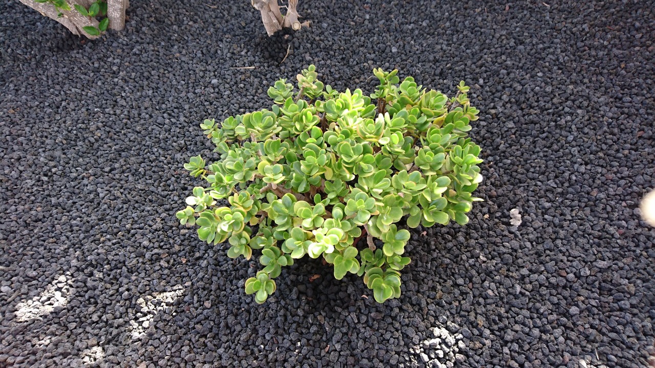 Photo of Outdoor in Bahia Calma