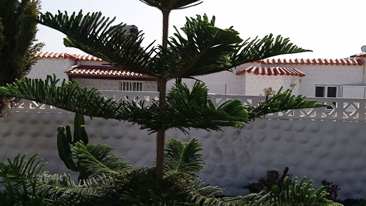 Photo of Outdoor in Bahia Calma
