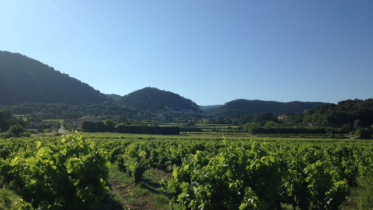 Photo of Outdoor in Seguret