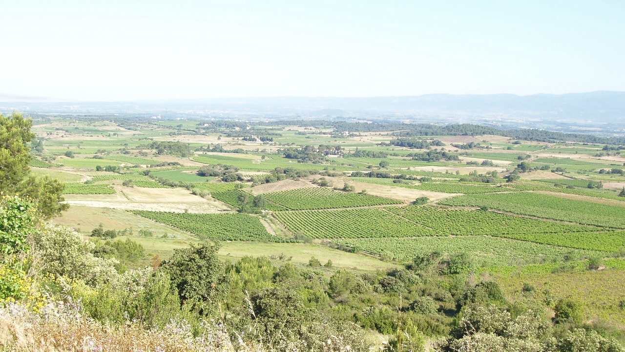 Photo of Others in Montbrun-des-Corbieres