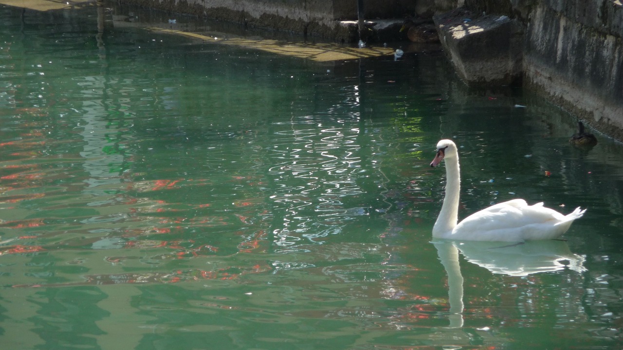 Photo of Outdoor in Annecy