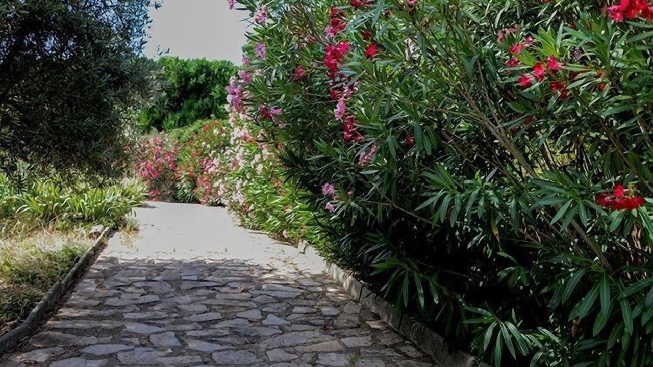 Photo of Outdoor in Saint-Paulet-de-Caisson