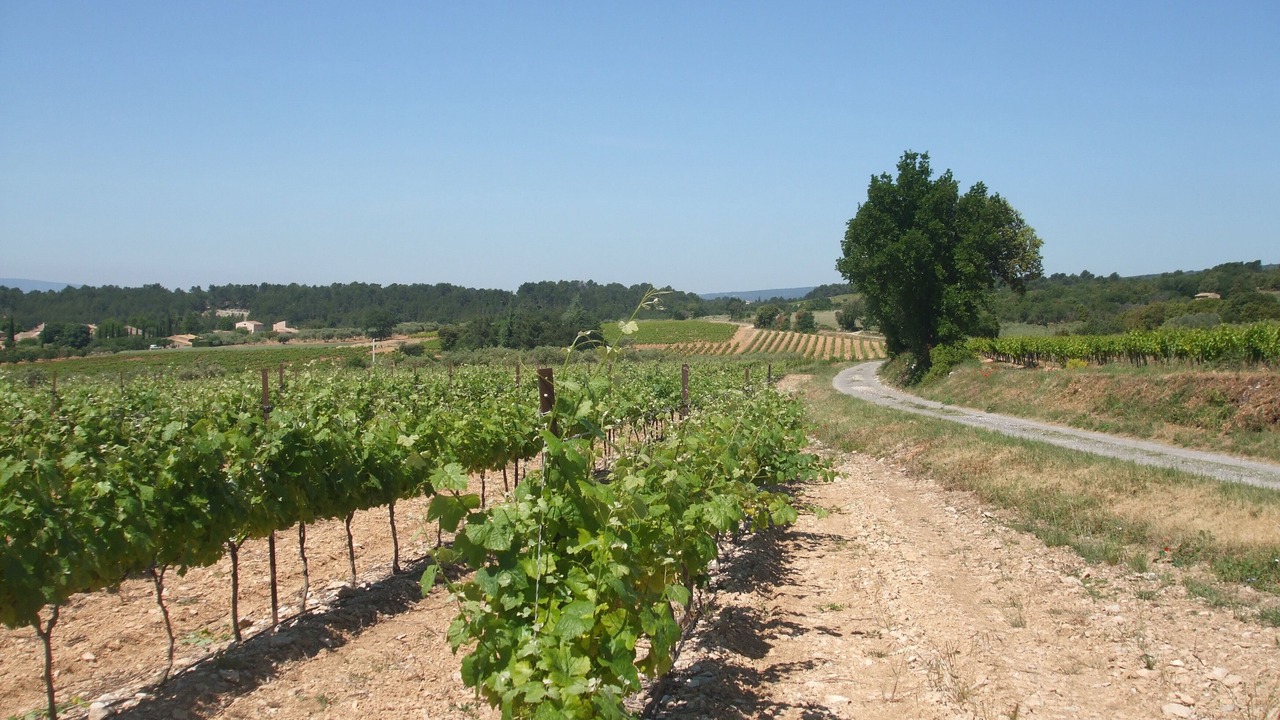 Photo of Outdoor in Les Cordiers