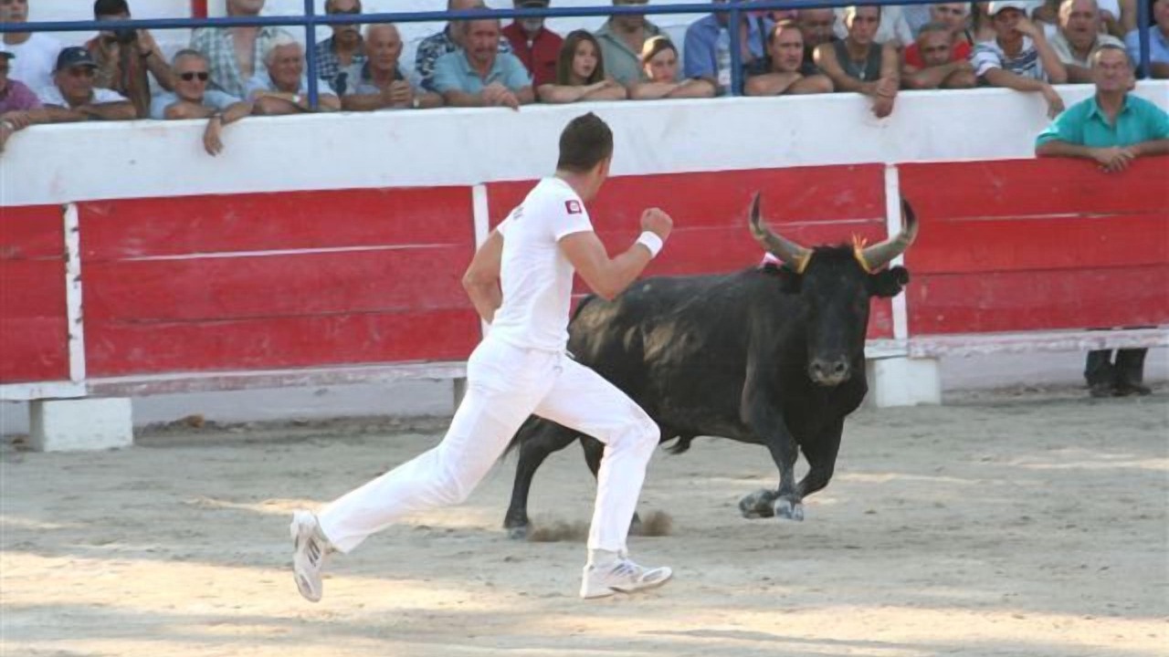 Photo of Others in Arles