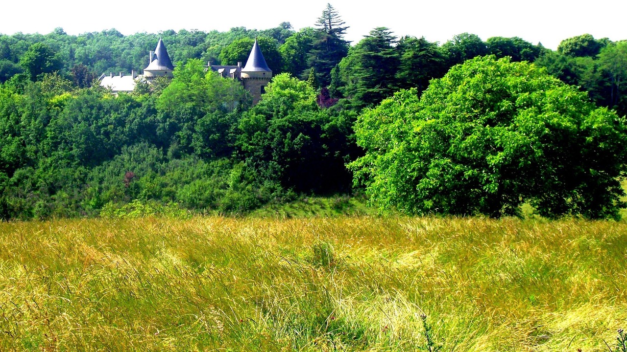 Photo of Outdoor in Rouffignac-Saint-Cernin-de-Reilhac