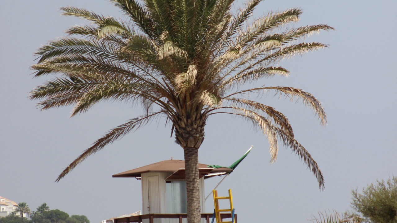 Photo of Others in Marina de Casares