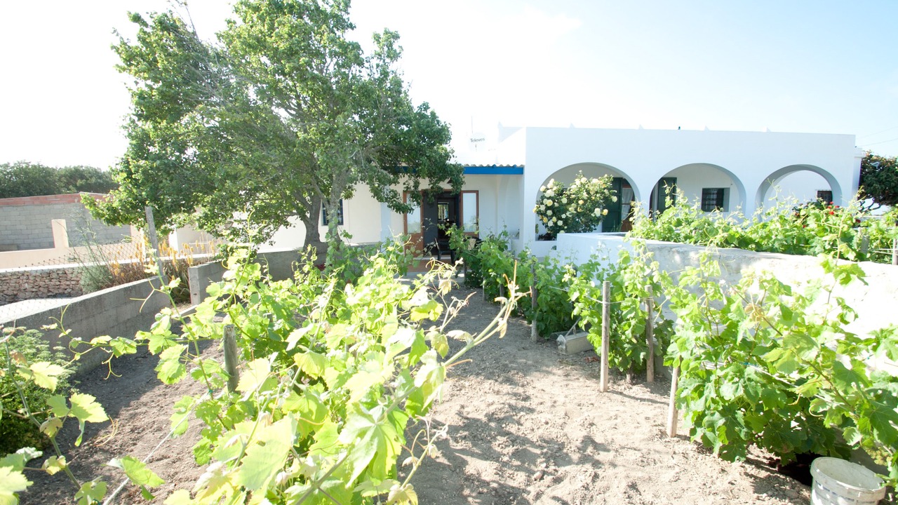 Photo of Outdoor in Formentera