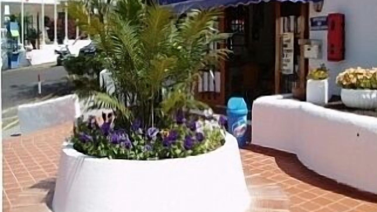 Photo of Others in Los Cristianos