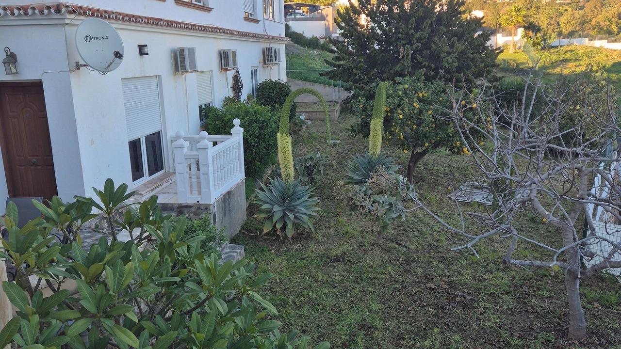 Photo of Others in Benalmadena