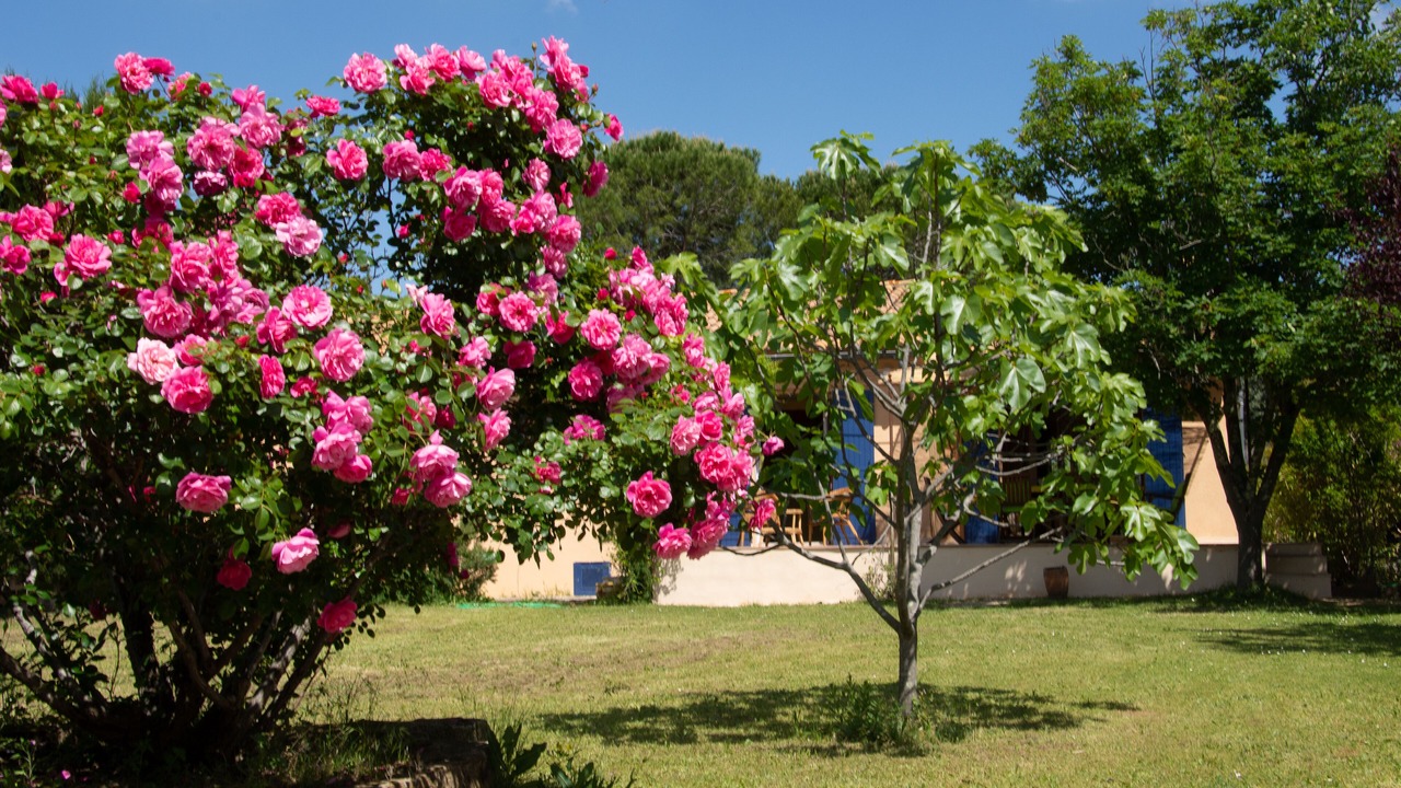 Photo of Outdoor in Saint-Siffret