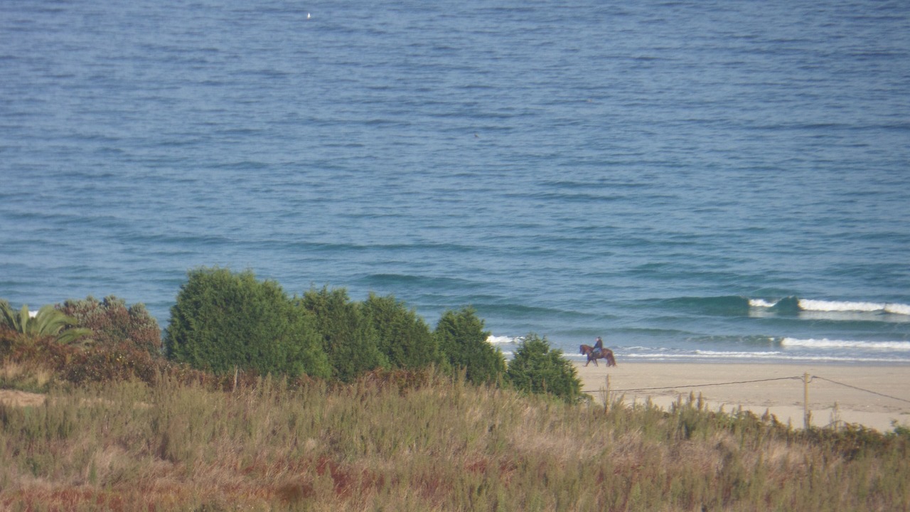 Photo of Others in Razo da Costa
