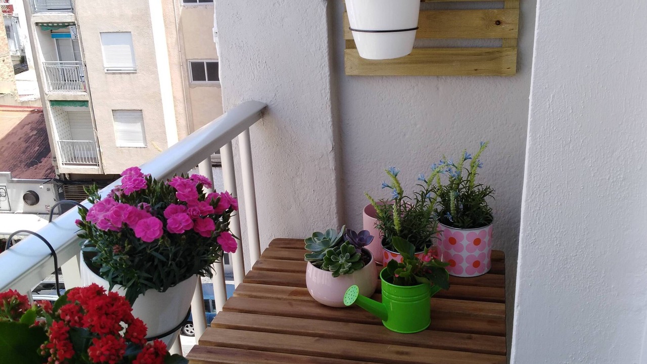 Photo of Outdoor in La Malva-rosa