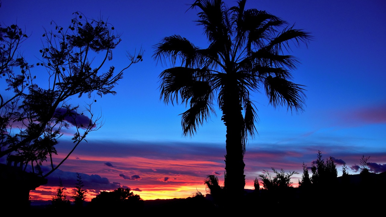 Photo of Outdoor in Golf Bahia