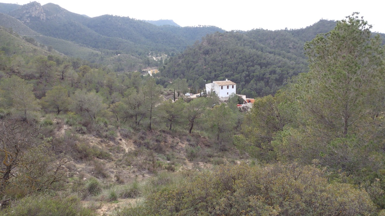 Photo of Outdoor in Ricote