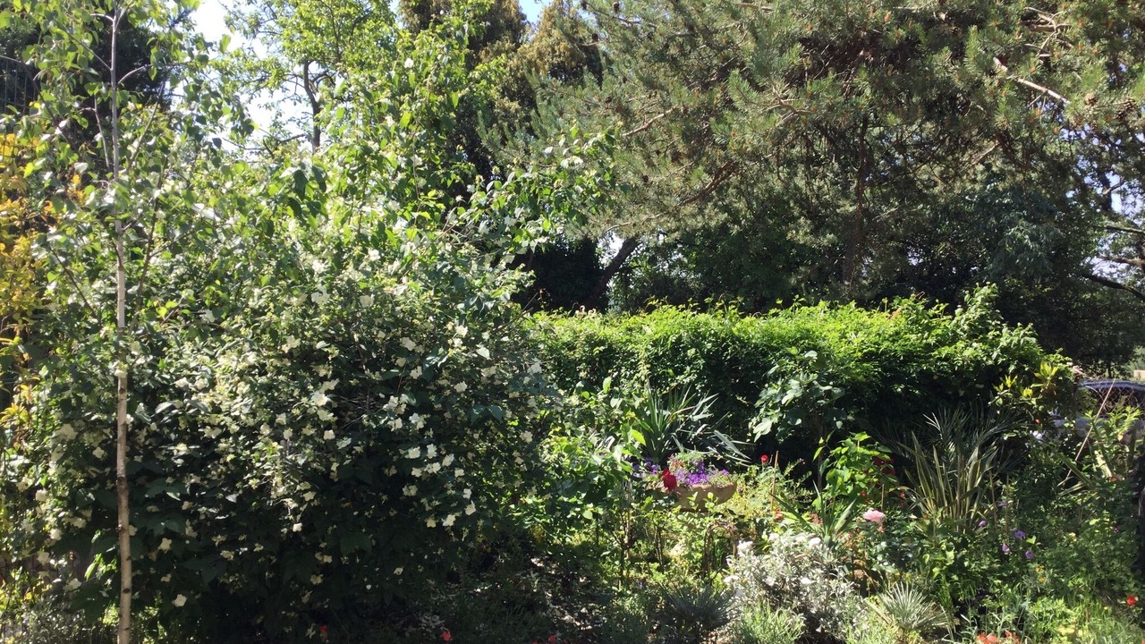 Photo of Outdoor in La Capelle-et-Masmolene