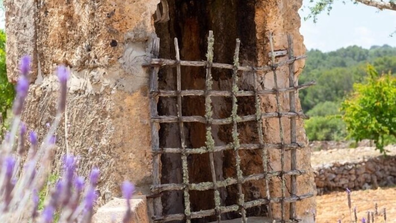 Photo of Outdoor in Algaida