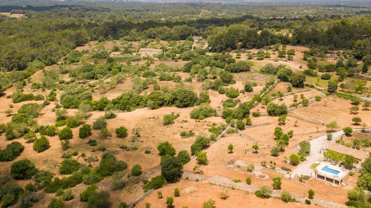 Photo of Outdoor in Algaida
