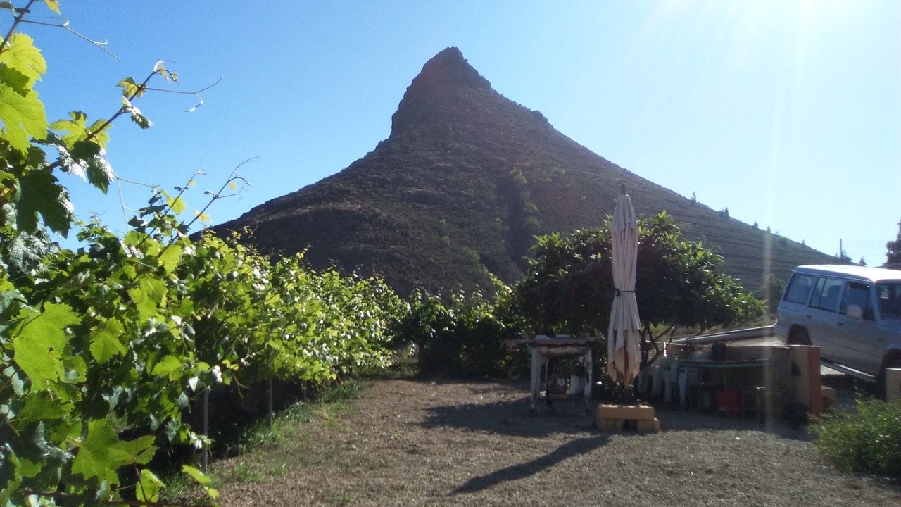 Photo of Outdoor in El Madronal