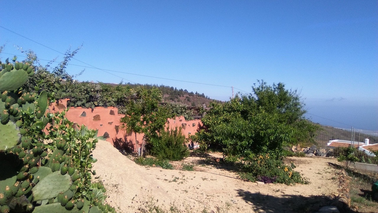 Photo of Outdoor in El Madronal