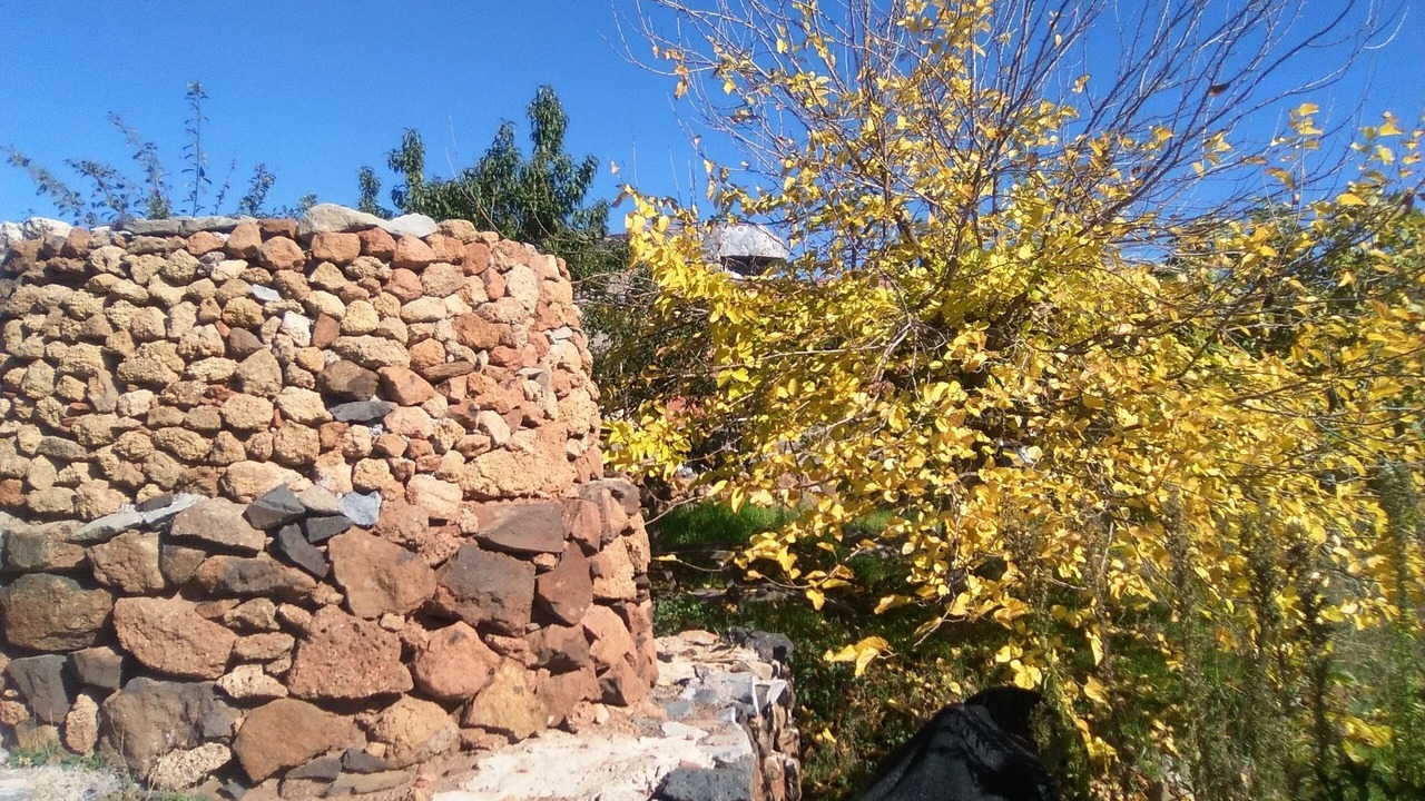 Photo of Outdoor in El Madronal