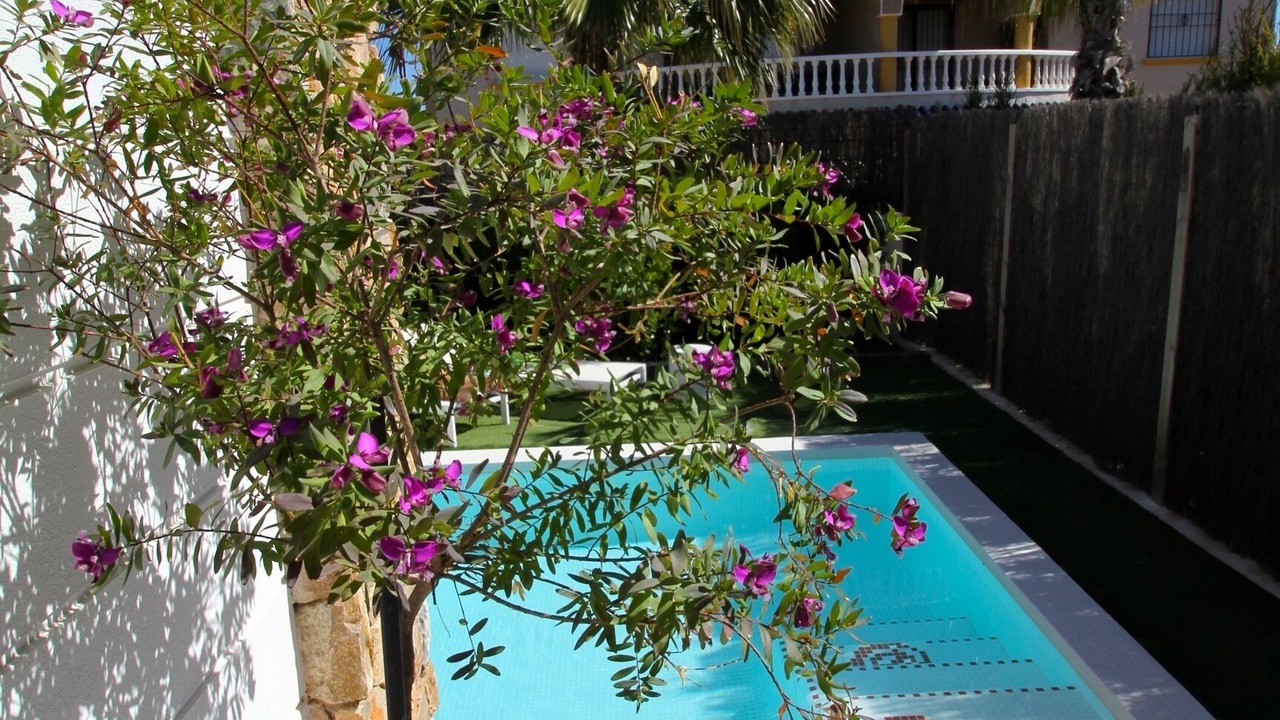 Photo of Outdoor in Orihuela Costa