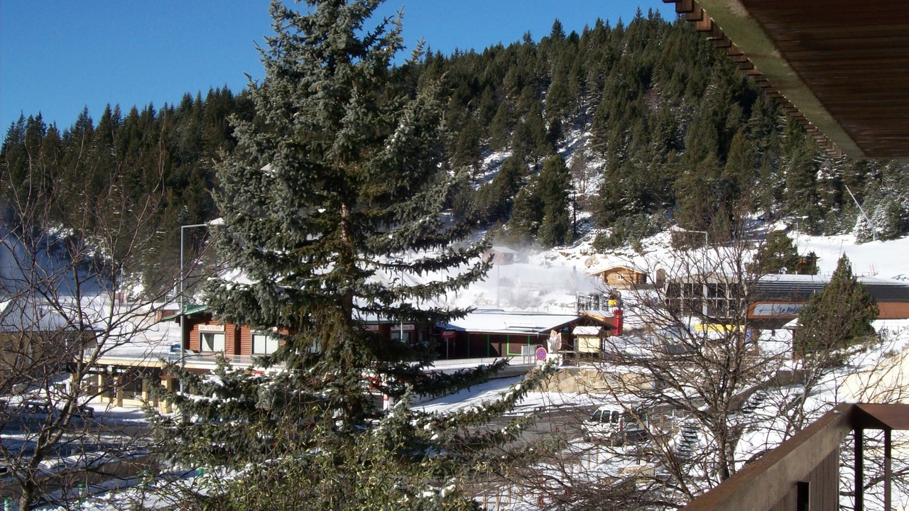 Photo of Others in Bolquere