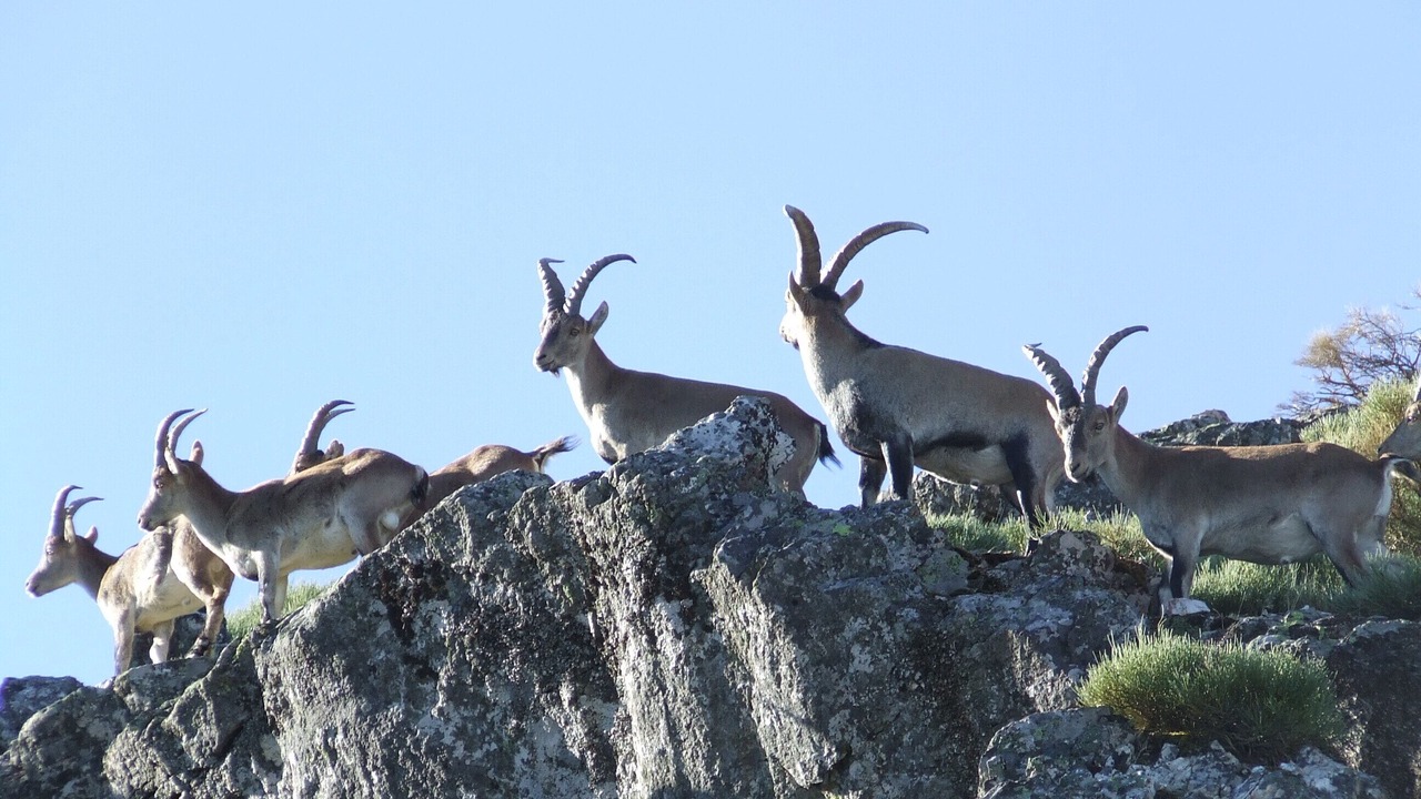 Photo of Outdoor in Villanueva del Conde