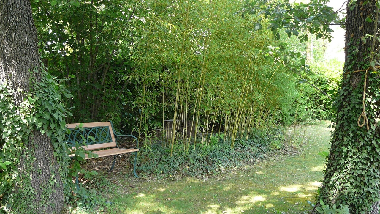 Photo of Outdoor in Aix-en-Provence