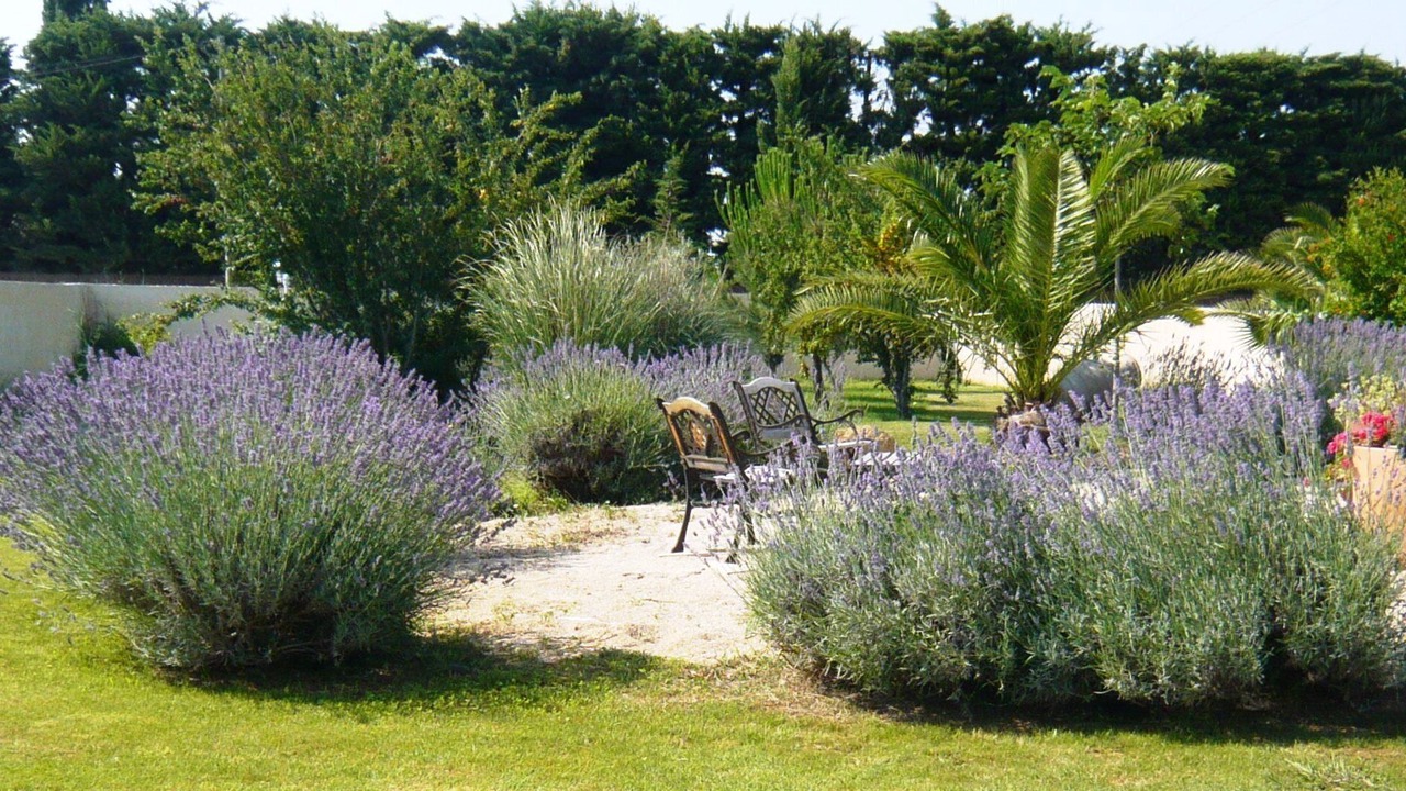 Photo of Outdoor in Arles