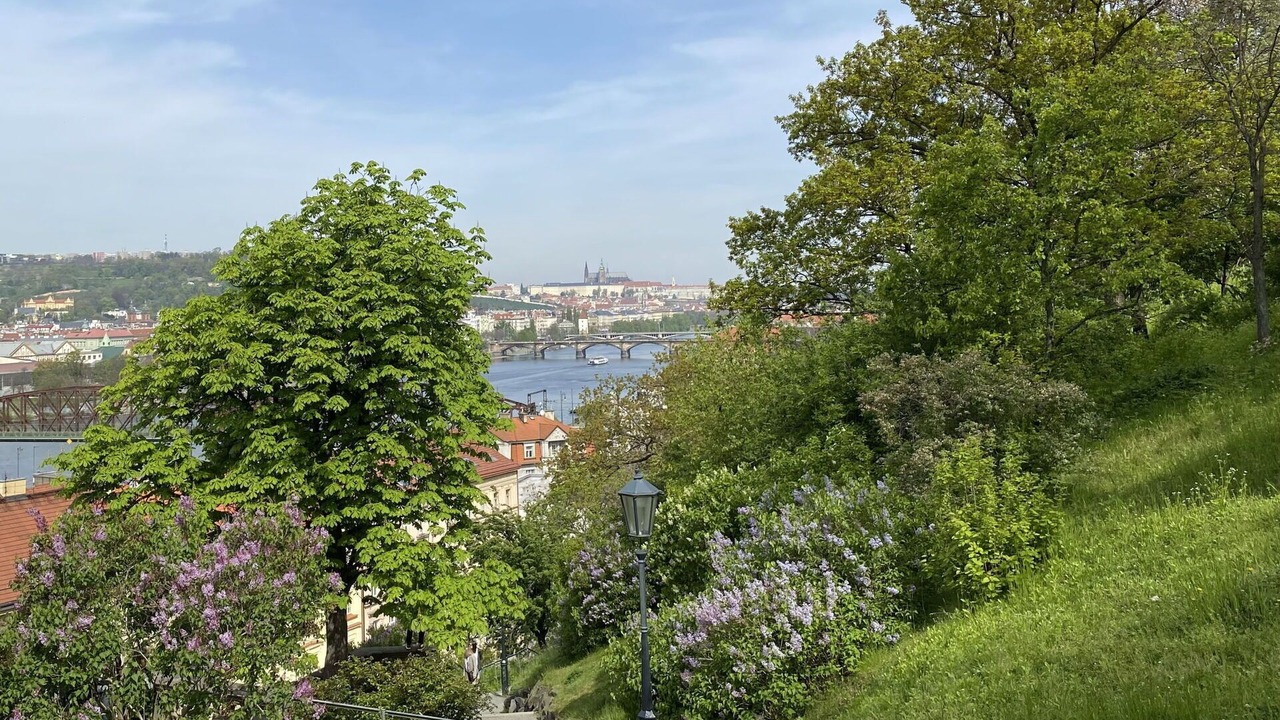 Photo of Others in Prague 10