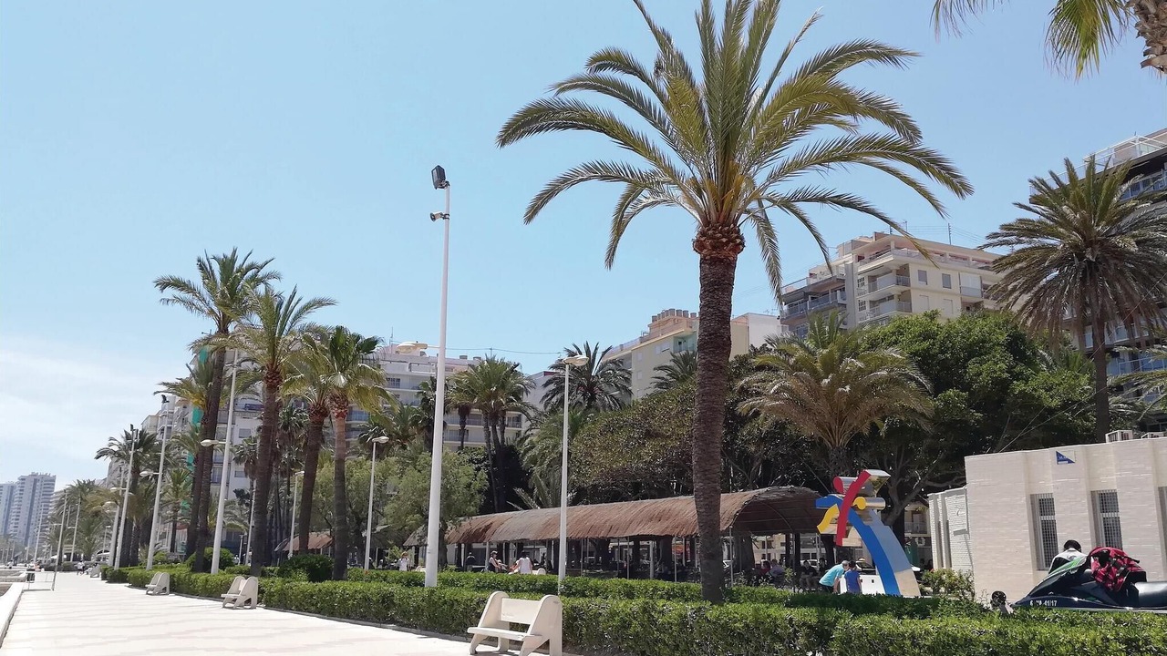 Photo of Others in Cullera