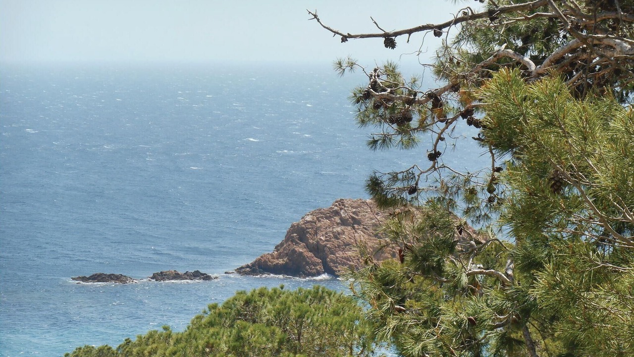 Photo of Others in Tossa de Mar